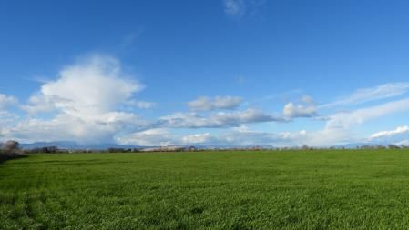 Paisaje de los alrededores de Altet.