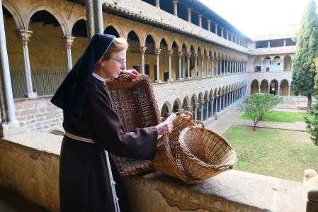 Laurel del Monasterio de Pedralbes