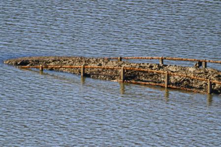 La barandilla del puente de Sant Romà de Sau.