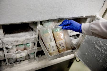 Una vez analizada y pasteurizada, la leche se congela a la espera de que la reclame alguna maternidad