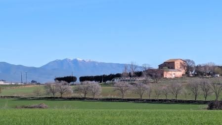 Campo verde de Gallecs y Montseny nevado al fondo.