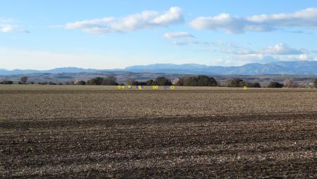 Solución al Reto visual de los pájaros.