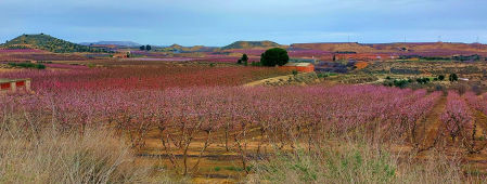 Sant Joan de Carratalà.