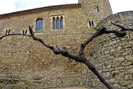 Castillo de Sant Martí Sarroca.
