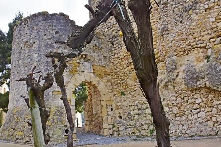 Castillo de Sant Martí Sarroca.