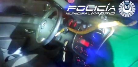 La policía municipal rescata una serpiente de maíz que se coló en un coche de la A-4