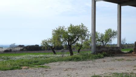 Reto visual: ¿Me ayudáis a localizar a los dos cernícalos en esta fotografía?