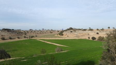 Solución al Reto visual de las águilas con su posición señalizada.