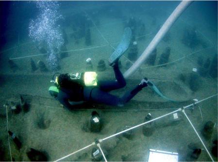 Las condiciones anaeróbicas en el lago de Bracciano han permitido conservar muchos elementos