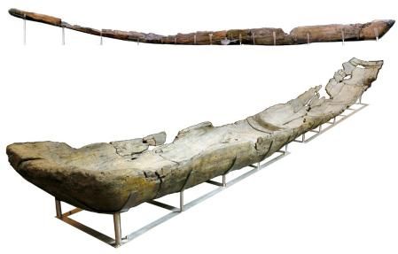 Detalle de una de las canoa hechas con madera de aliso y que se pudo usar para la pesca