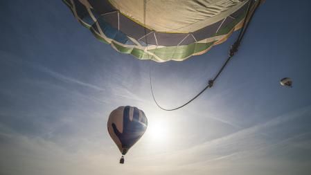 41ª edición del Concurso de Globos del Mercat del Ram.