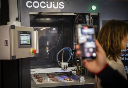 Filetes de carne vegetal