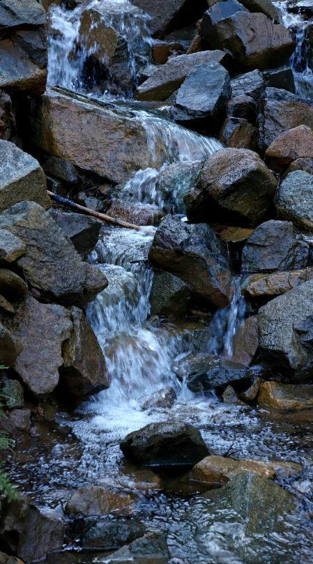 Agua del arroyo El Algarrobo.