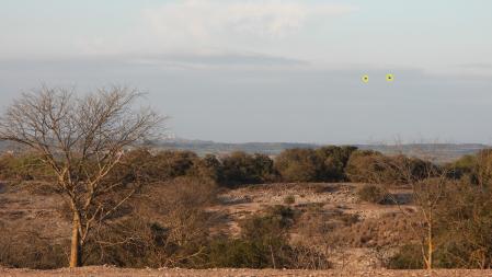 Solución al Reto visual con la posición de las águilas señalizada.