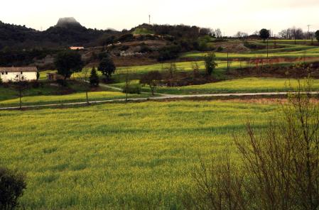 Lluvia en el Ripollès.