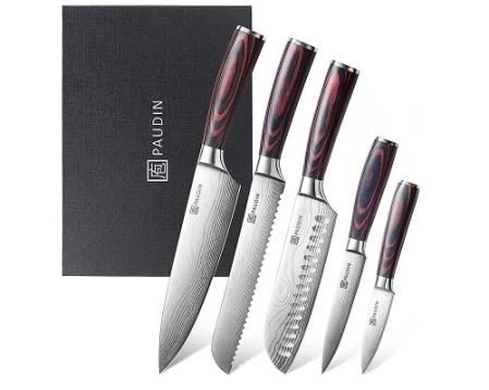 Set de 5 cuchillos japoneses acero inoxidable PAUDIN