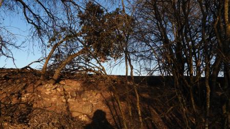 Reto visual: ¿Dónde está la luna?
