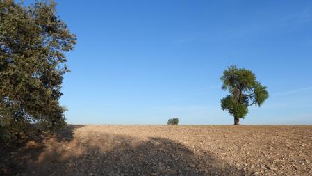 Reto visual: ¿Puedes encontrar a la luna?