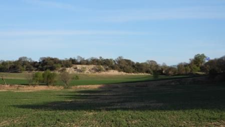 Solución al Reto visual de los aguiluchos.