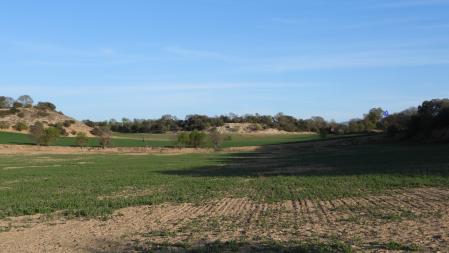 Solución al Reto visual.