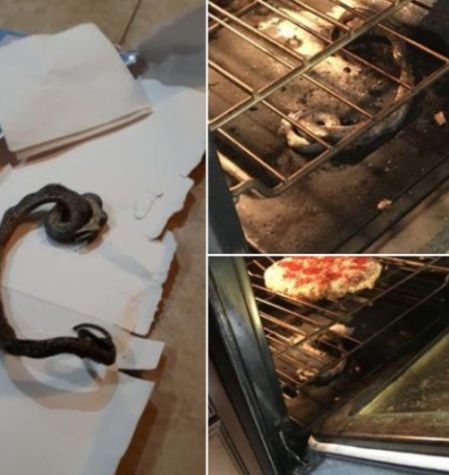 La pizza y la serpiente