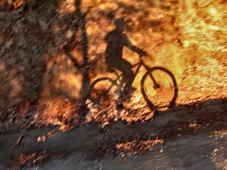 Sombra del ciclista en Collserola.