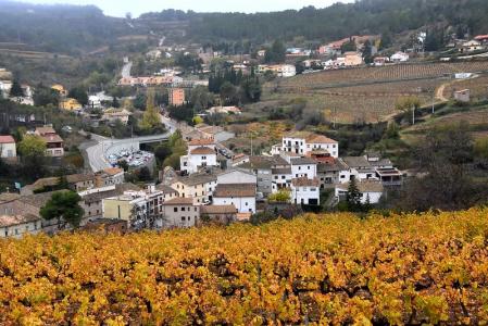 Los viñedos se entrelazan con las casas del pueblo.