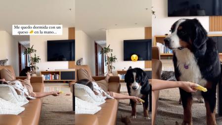 Una mujer se tumba con un queso en la mano y finge estar dormida para ver cuál es la reacción de su perro.