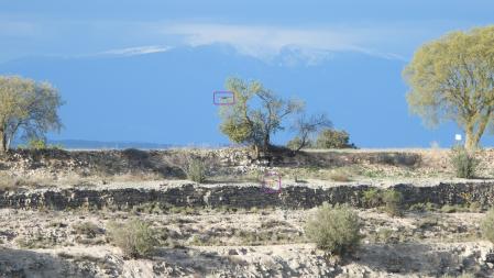 Solución al Reto visual de las águilas del Urgell.