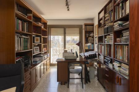 Francisco Ibáñez. París 2024