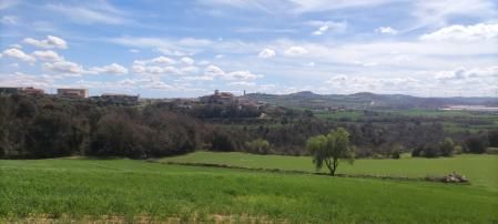 Perspectiva sur de Aleny.