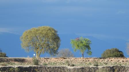Solución al Reto visual con la posición de las águilas señalizada.