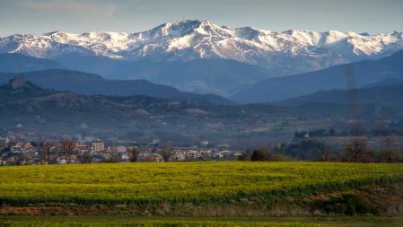 Campo verde primaveral en Manlleu con el Pirineo nevado al fondo.