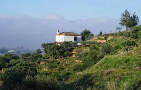 Calima y niebla costera en Mijas.