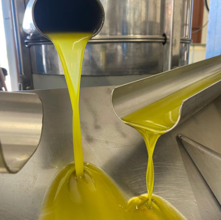 Su AOVE ecológico no solo seduce los paladares más exigentes, sino que también representa un legado de tradición, calidad y compromiso