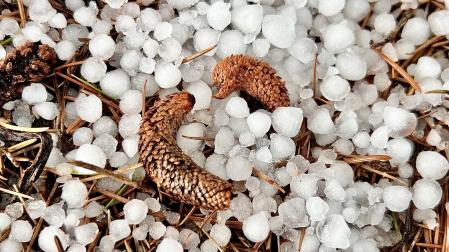 Granizo caído en Sant Celoni.