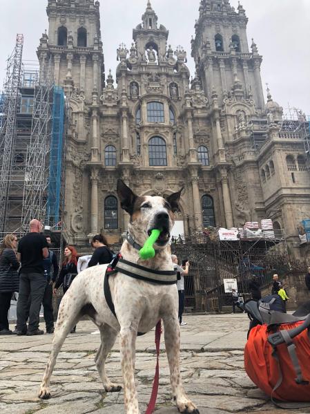 Futt en Santiago de Compostela