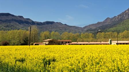 Campo de los alrededores del lago de Banyoles.