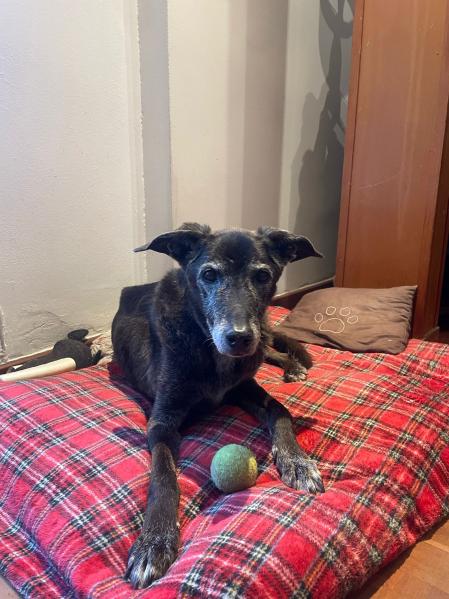 Ndugu comparte vida con el actor Canco Rodríguez