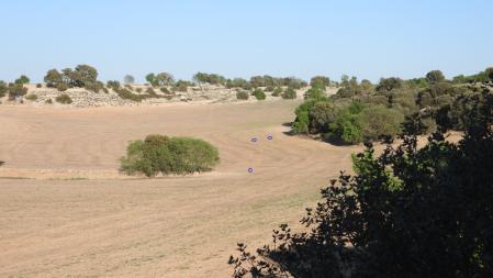 La solución al Reto visual de los conejos.