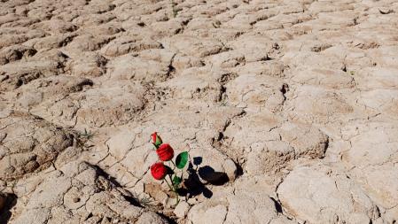 Sant Jordi de sequía en la Baells.