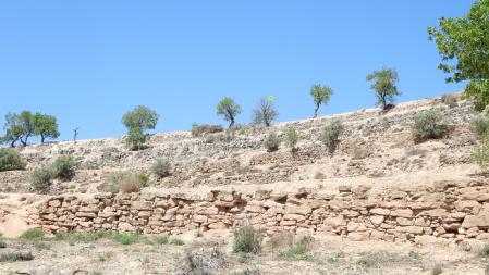 La posición del abejaruco señalizada.