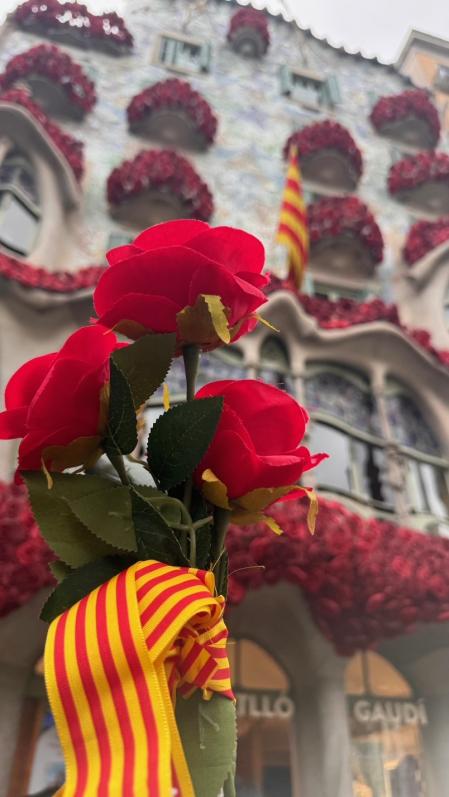 Sant Jordi.