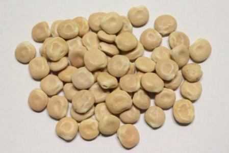 Los altramuces secos se tienen que dejar en remojo y después hervirlos