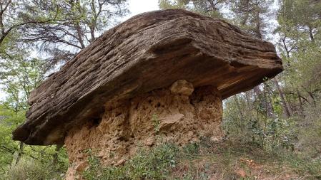 La seta de piedra Folgueroles.