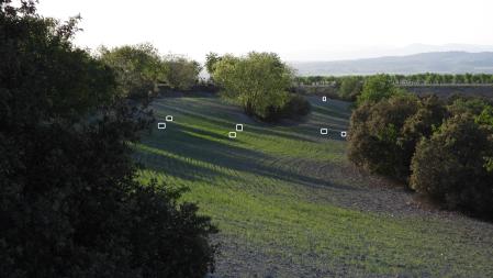 La posición de los conejos señalizada.