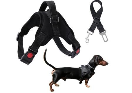 Arnés para perro con cinturón de seguridad para coche