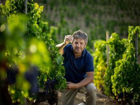Álvaro Palacios en los viñedos del Priorat de los que sale L'Ermita