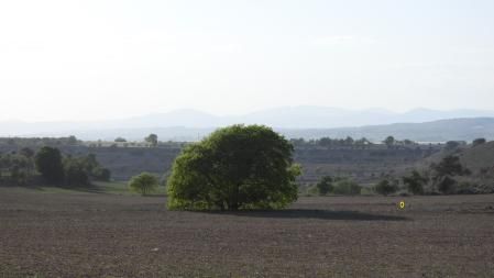 Solución al Reto visual con la posición del conejo señalizada.