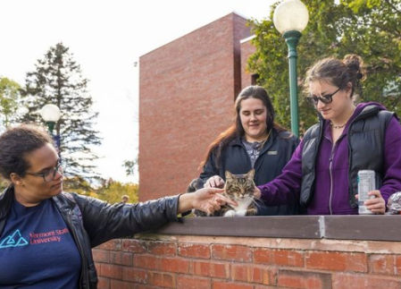 Universitarios acarician al gato